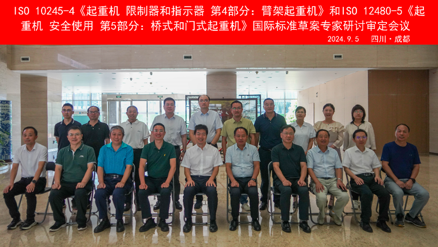 ISO 10245-4《起重機  限制器和指示器  第4部分：臂架起重機》和ISO 12480-5《起重機  安全使用  第5部分：橋式和門(mén)式起重機》的制修會(huì )議合影